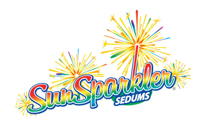 Sunsparkler® Sedums - Stonecrop (940x258), Png Download