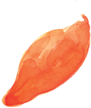 Sweet Potato (479x480), Png Download