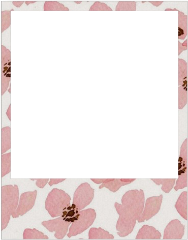 Source - - Polaroid Frame Transparent (500x530), Png Download