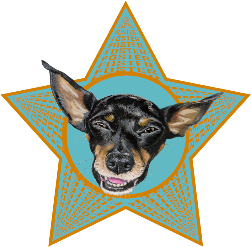 About Me - × - × - × - × - × - × - × - × - × - Dog (800x800), Png Download