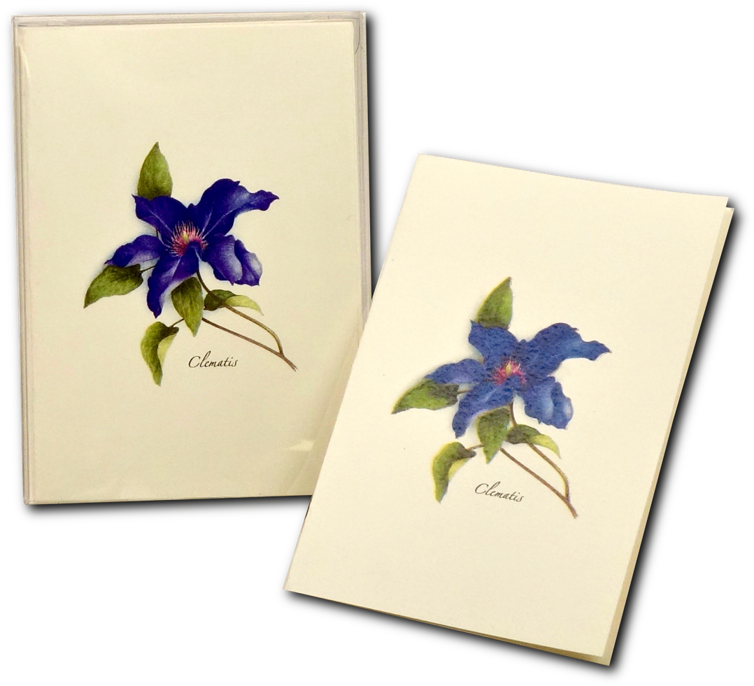 Shopping Cart -  -  - Iris (1200x1200), Png Download