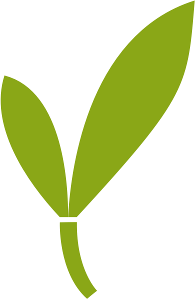 Main Logo - Bamboo Logo Png Transparent (1200x630), Png Download