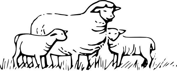 Lamb Clipart Shep - Sheep And Lamb Outline (600x242), Png Download
