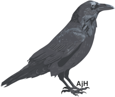 Raven Illustration (480x480), Png Download