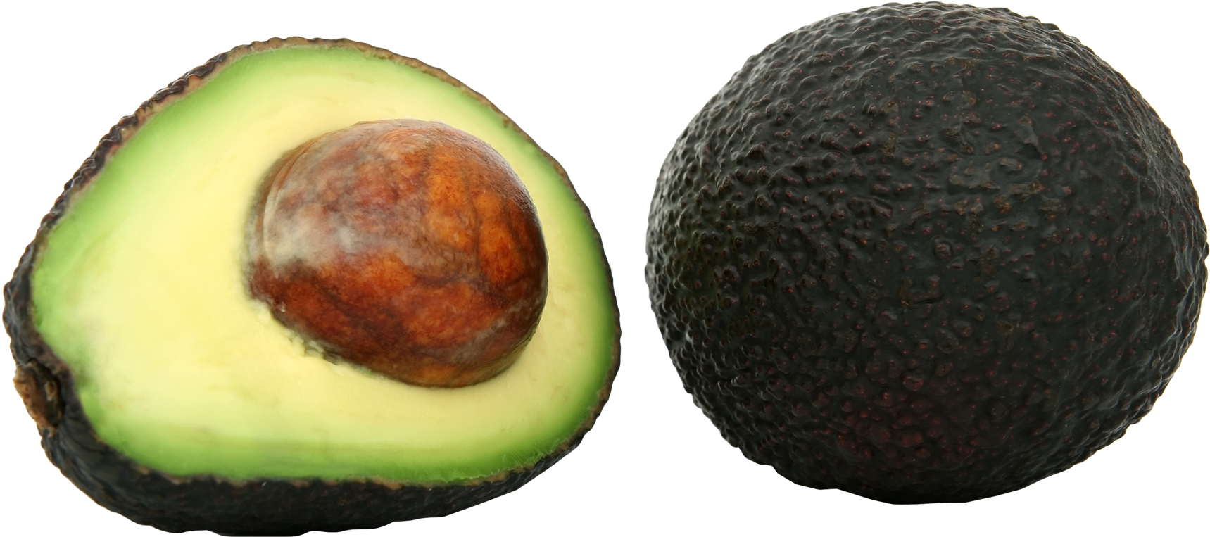 Download Avocado Png Image - Avocado (500x240), Png Download