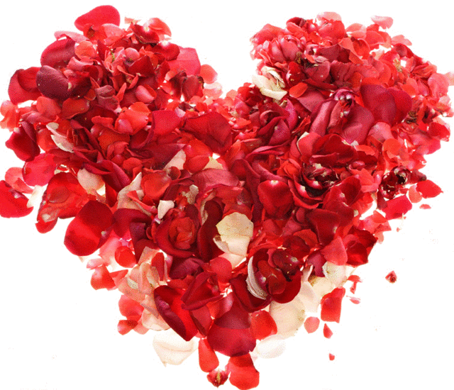 Rose Heart Png - Valentine's Day Hair Salon (640x550), Png Download