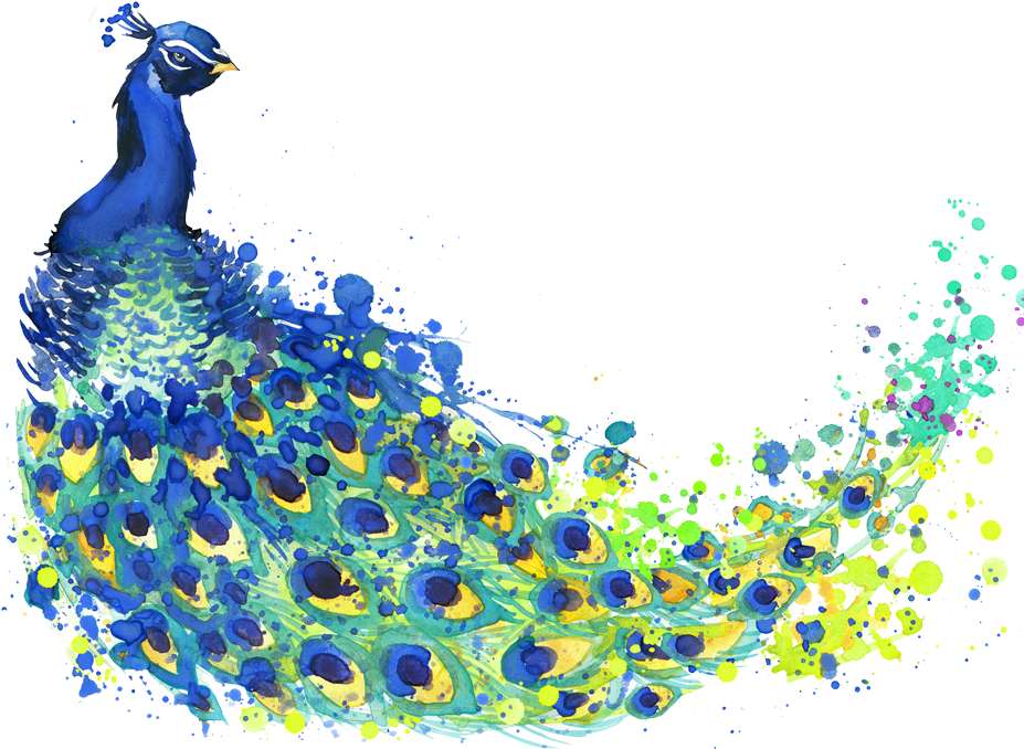 Banner Black And White Stock The Peacock Feather Peafowl - Peacock Vector Transparent Background (1032x970), Png Download