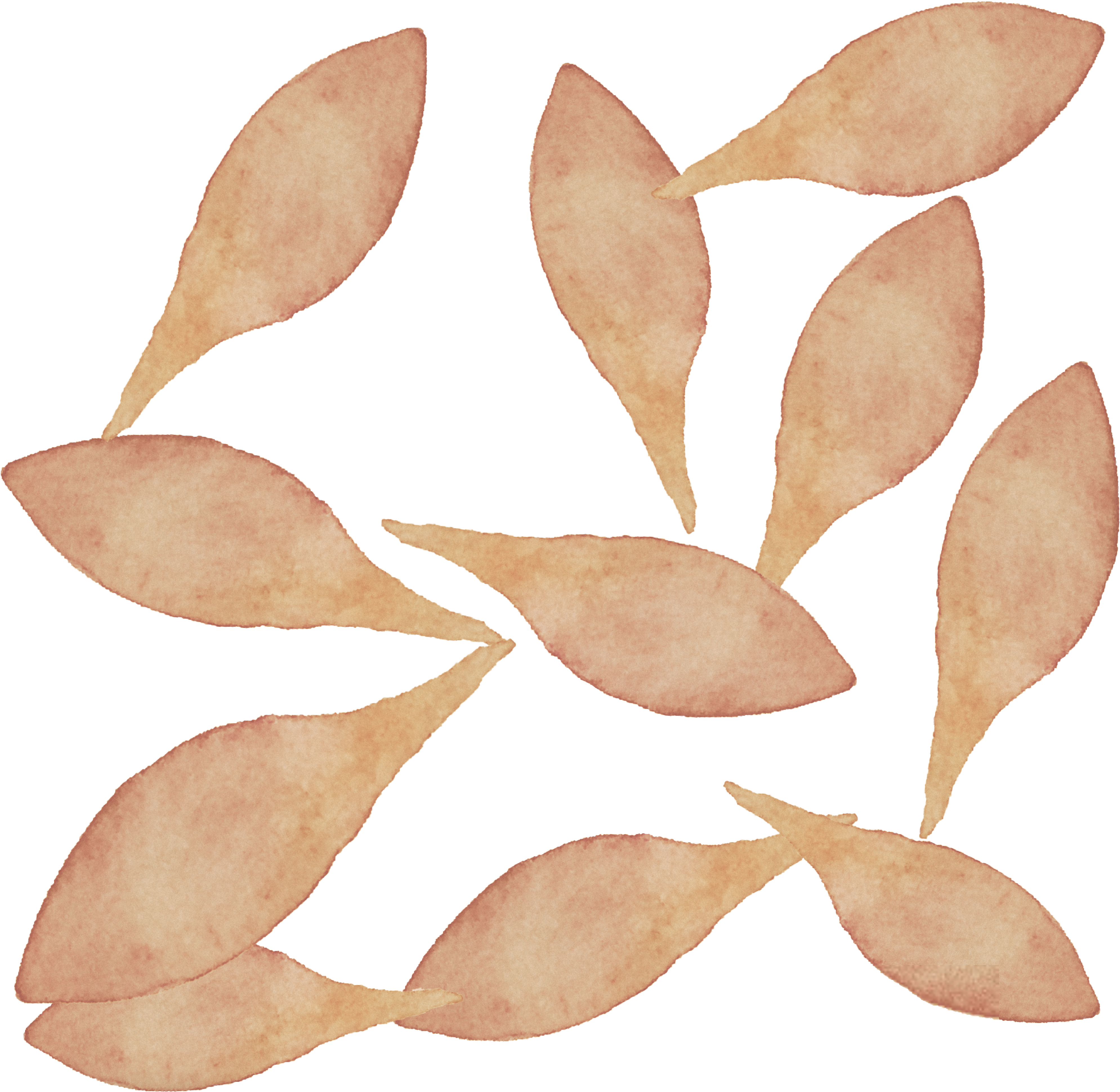 Watercolour Petals Watercolour, Pen And Wash, Watercolor - Hop Hornbeam (4096x4096), Png Download