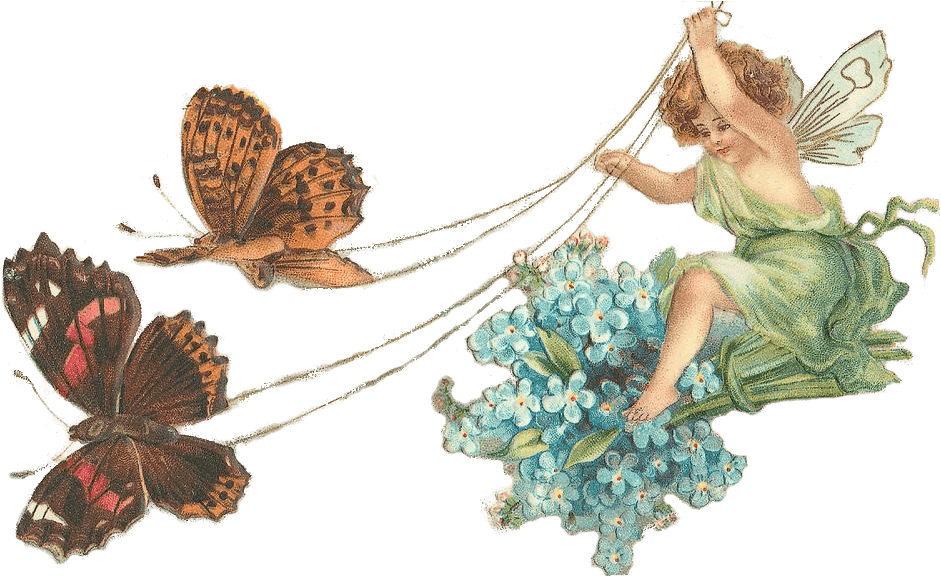 Fairy With Butterflies Transparent Png - Fairy Butterfly Transparent Png (950x575), Png Download