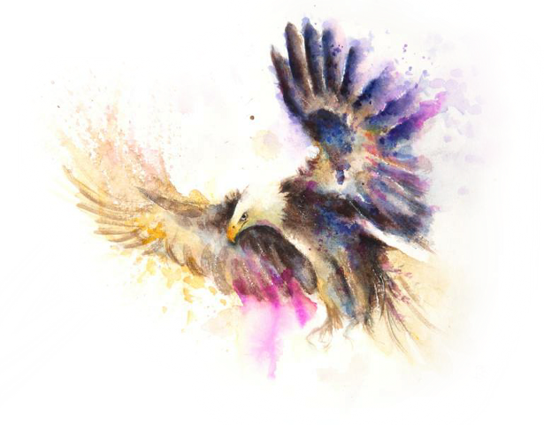 Paintings Of Eagle Flying (615x480), Png Download