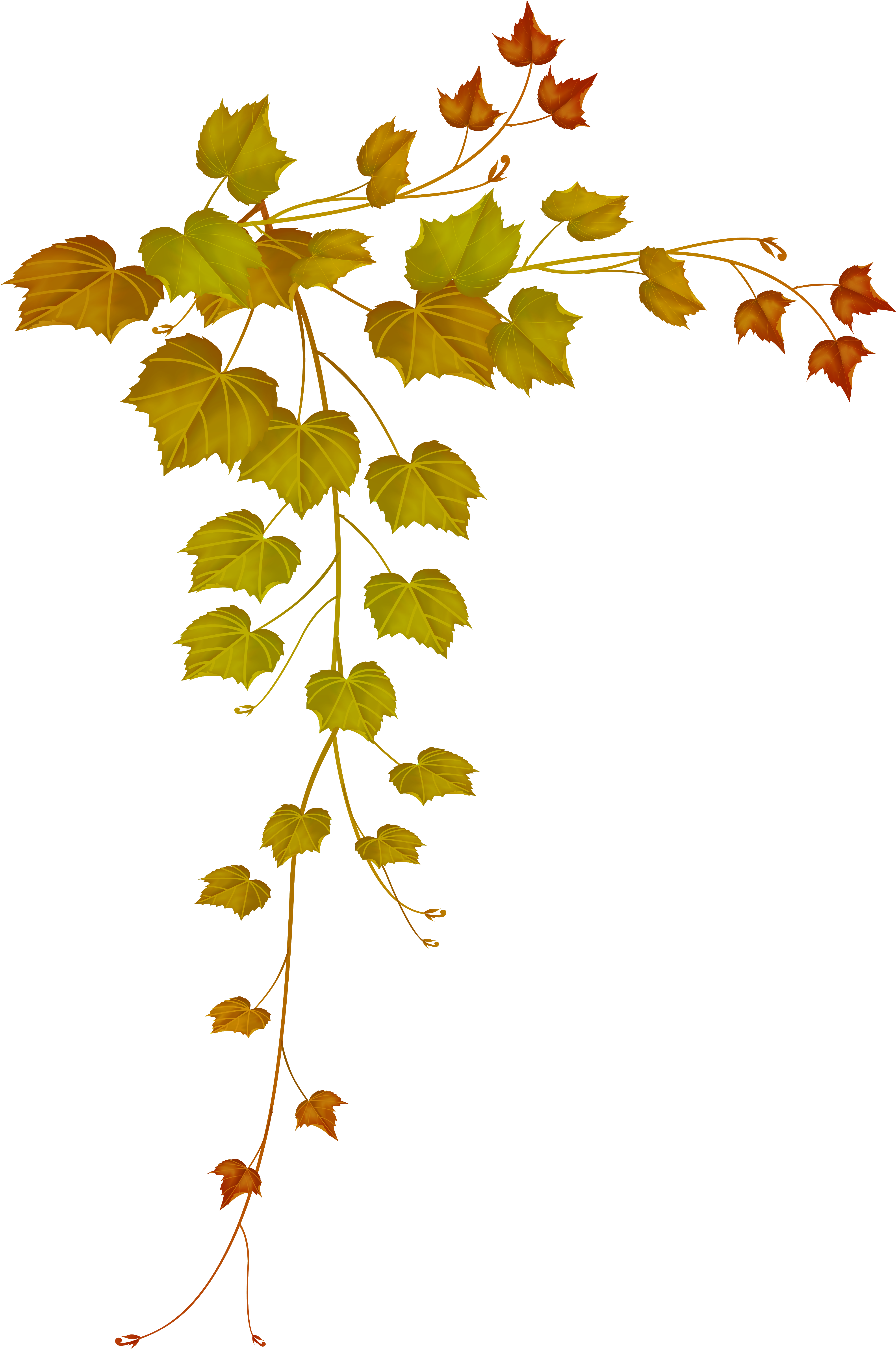 Decorative Clipart Falling Leave - Fall Leaves Png (4152x6251), Png Download