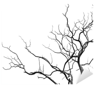 Tree (400x400), Png Download