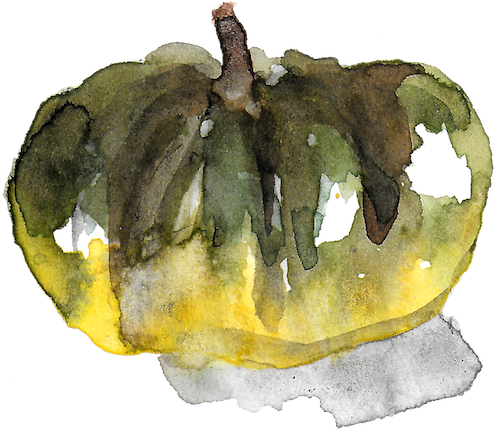 Courge1 - Gourd (530x428), Png Download
