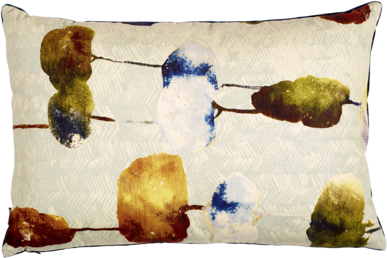 Centimetre (800x865), Png Download