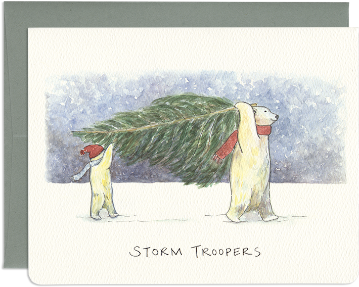 Polar Bear Holiday Greeting Card - Picture Frame (800x661), Png Download