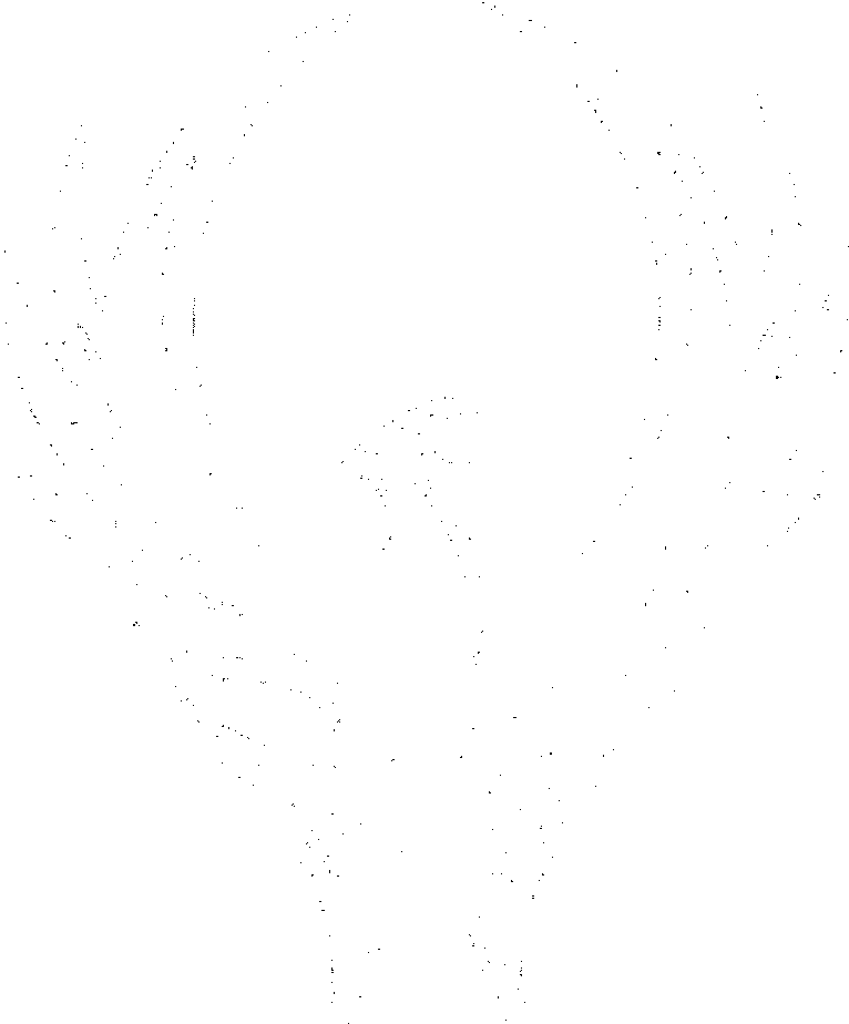 Phoenix Farm - Phoenix Logo White Png (800x953), Png Download