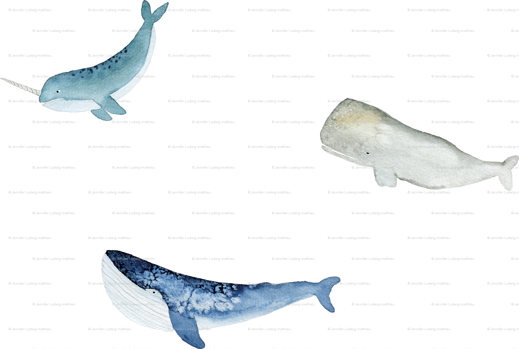 Blue Whale (1821x1225), Png Download