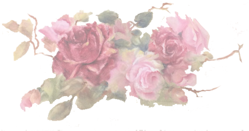 This Site Is Under Construction Meanwhile Visit My - Hybrid Tea Rose (832x438), Png Download