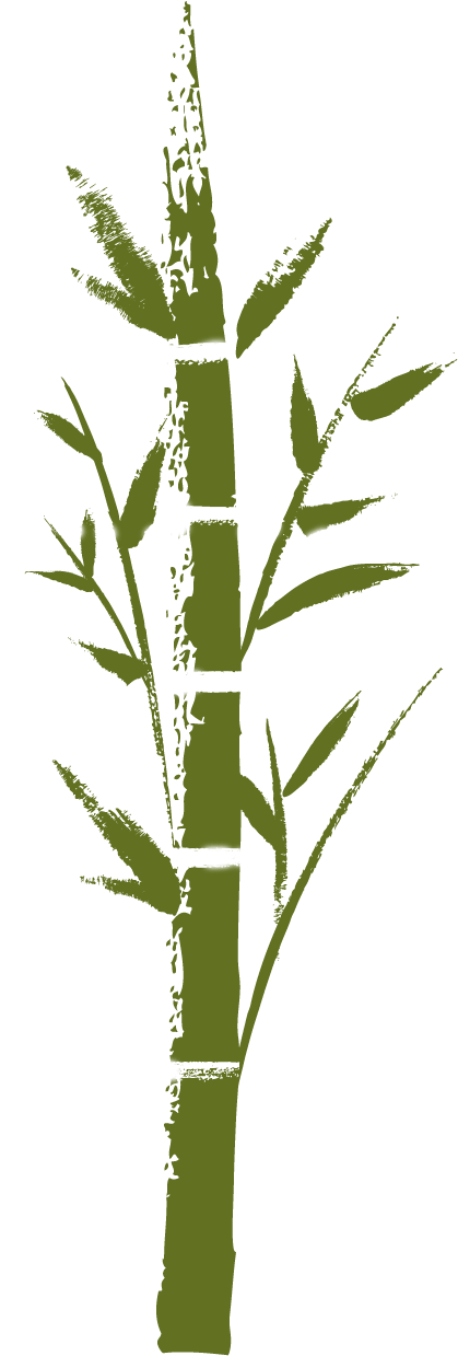 Bamboo - Twig (454x1238), Png Download