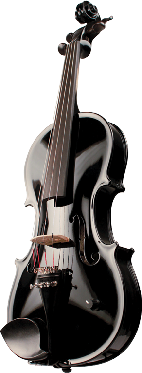 New Vibrato Violin - Barcus Berry Violin (294x800), Png Download