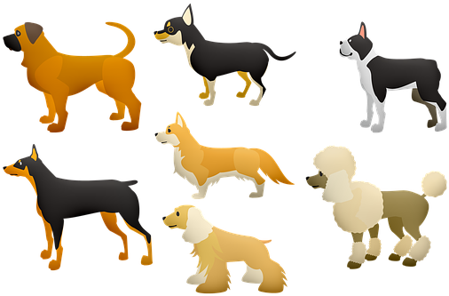 Download Dogs Poodle Large Dogs Terrier Pet 犬 の 横顔 イラスト Png Image With No Background Pngkey Com