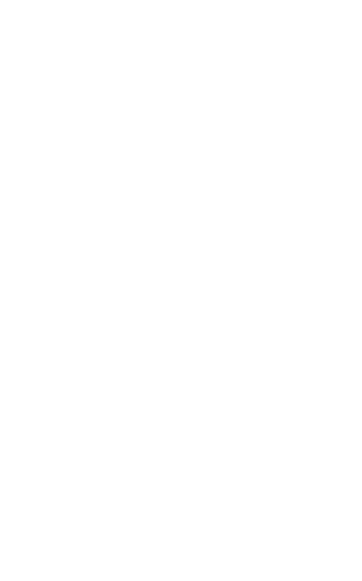 Lion Head - Lion (343x539), Png Download