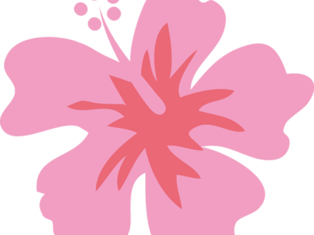 Moana Png (640x480), Png Download