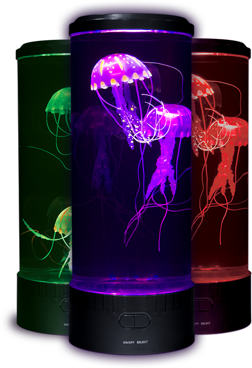 Low Voltage Adapter Included - Fascinations Electric Jellyfish Mood Light (494x720), Png Download