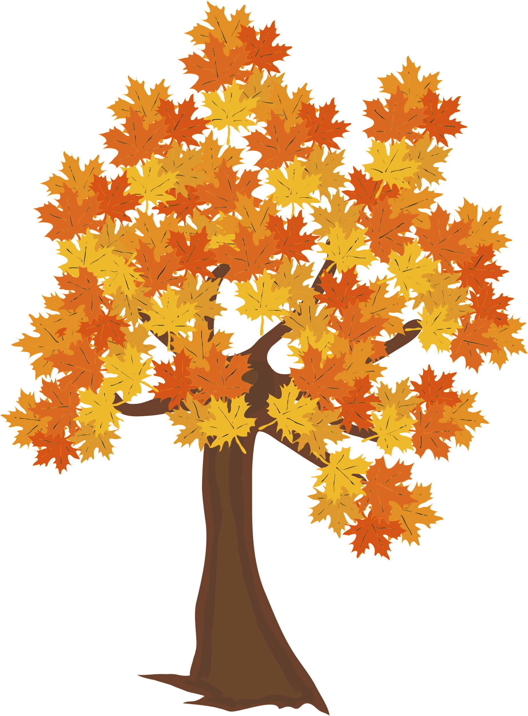 Fall Tree Png Image - Drawing Of Autumn Tree (2052x2630), Png Download