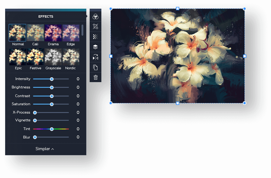 Blur Editor Preview - Grandfailure 'white Flowers In Dark' Canvas Gallery (901x594), Png Download