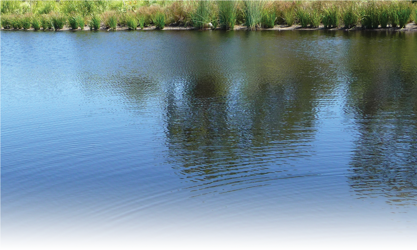 Download River Water Png - River Water River Png Hd PNG Image with No ...