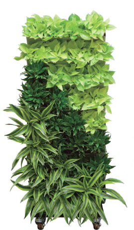 See The Living Walls Brochure - Green Walls Interior (271x482), Png Download