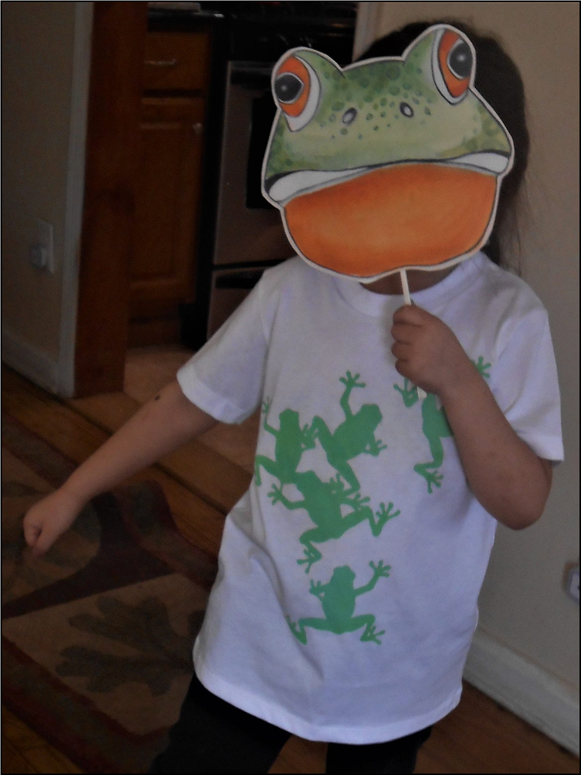 Frog Mask - T-shirt (1600x1600), Png Download