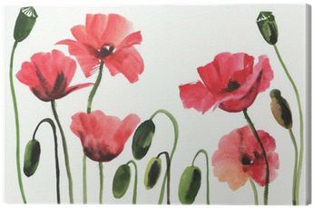 Watercolor Painting Of Red Poppies Canvas Print • Pixers® - Papavero Watercolor (400x400), Png Download