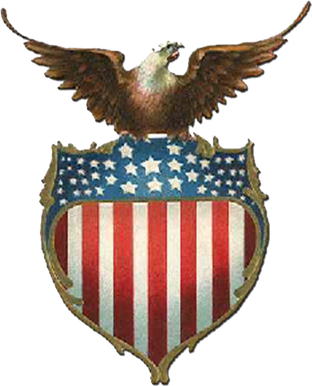 Usa Eagle Png - Eagle On A Shield American Flag (1200x1500), Png Download