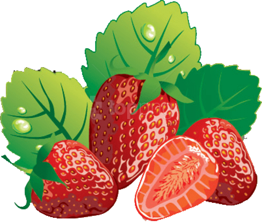Download Collection Of Strawberry Clipart Free High Free Clip Art Strawberries Png Image With No Background Pngkey Com