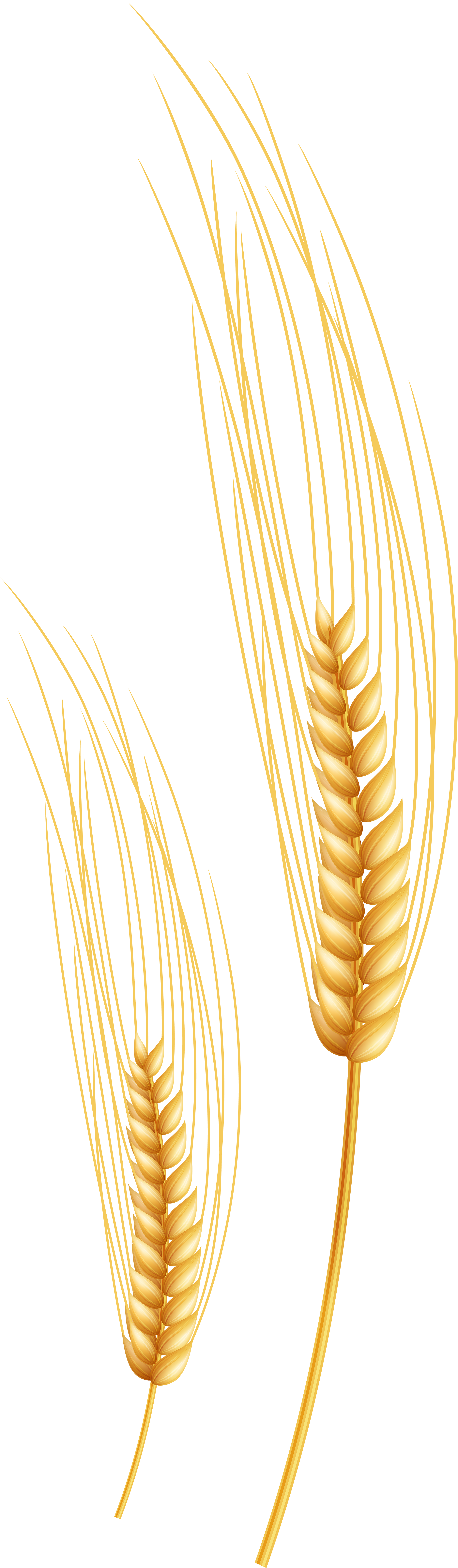 Wicker (2422x8000), Png Download