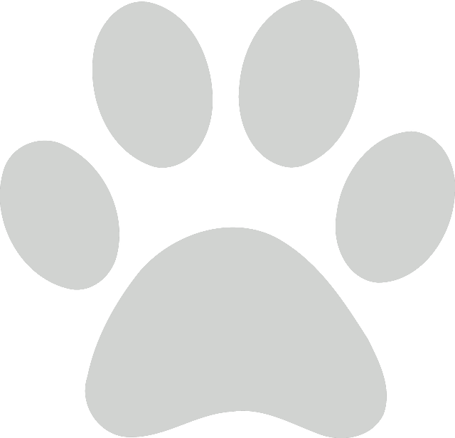 Dog Paw Paw Clipart Service Dog Pencil And In Color - White Transparent Paw Print (640x616), Png Download