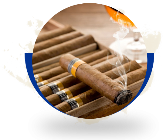 1787017 - Cuban Tobacco (549x458), Png Download