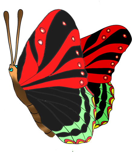 Colorful Butterflies Clipart, Black Red Butterfly Image - Butterfly (503x531), Png Download