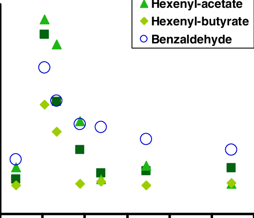Emission Kinetics Of Three Green Leaf Volatiles And - Pyruvate To Ethanol (521x447), Png Download