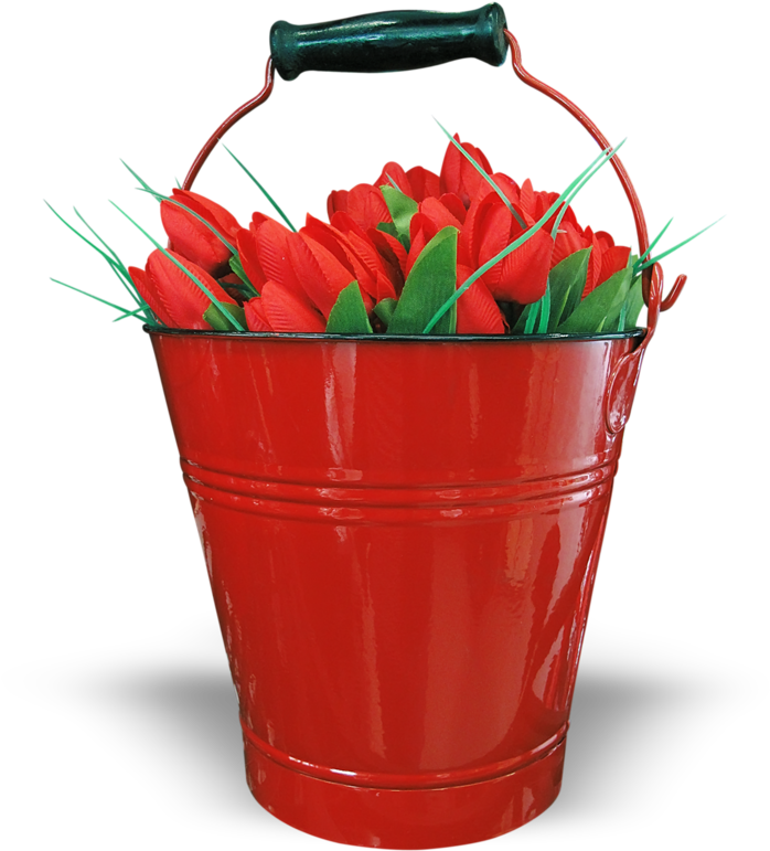 Png - Fruit (727x800), Png Download