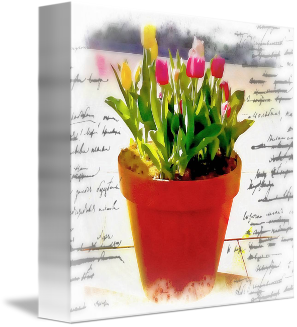Watercolor Pot Of Tulips By Elizabeth Mix - Flowerpot (591x650), Png Download