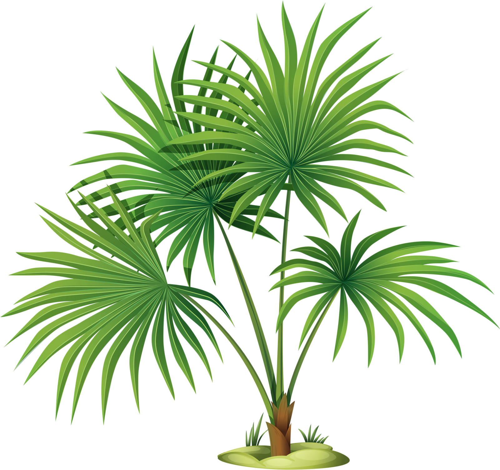 Яндекс - Фотки - Palm Tree Leaves Clipart (1600x1518), Png Download
