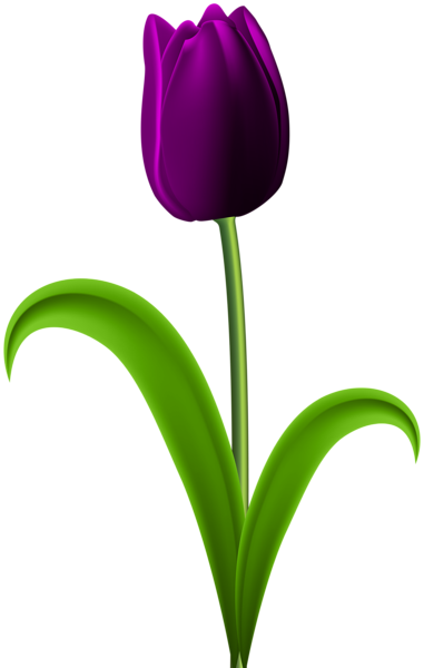 Purple Transparent Png Clip Art Image Various - Purple Tulip Flower Png (381x600), Png Download