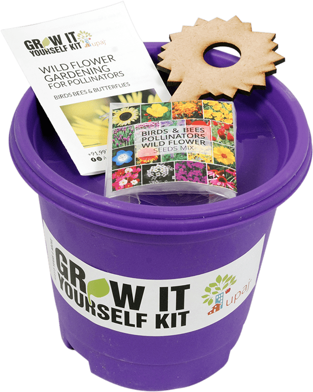 Birds & Bees Pollinators Giy Kit - Bee (722x818), Png Download