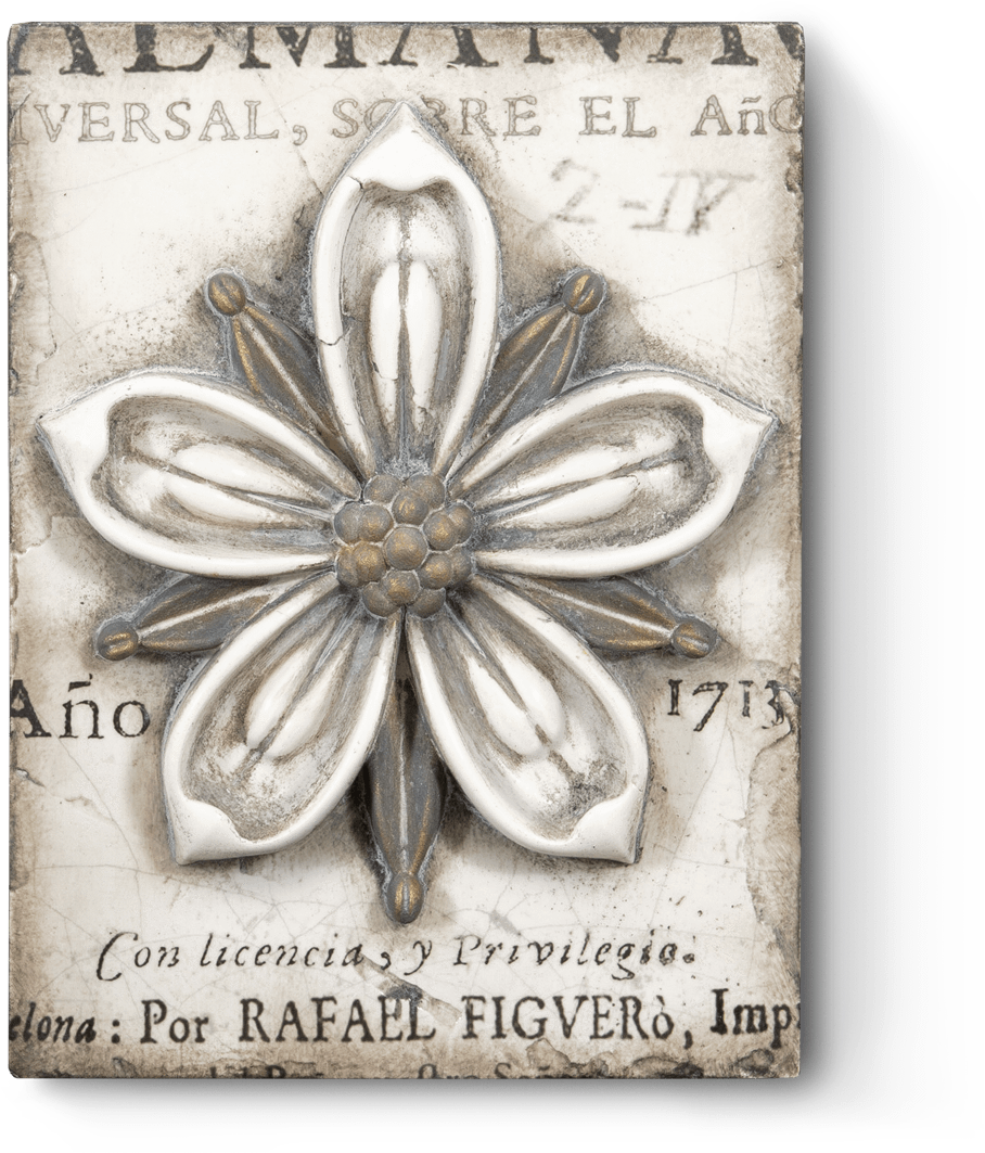 Cosmopolitan Flower T449 - Sid Dickens Inc (480x480), Png Download