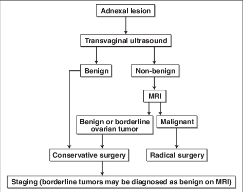 Maging Algorithm For Diagnosis Of Borderline Tumors - Science (473x374), Png Download