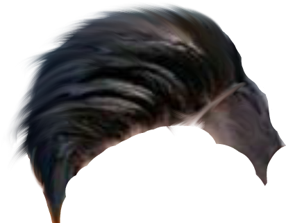 Cb Hair Png - Wild Turkey (480x600), Png Download