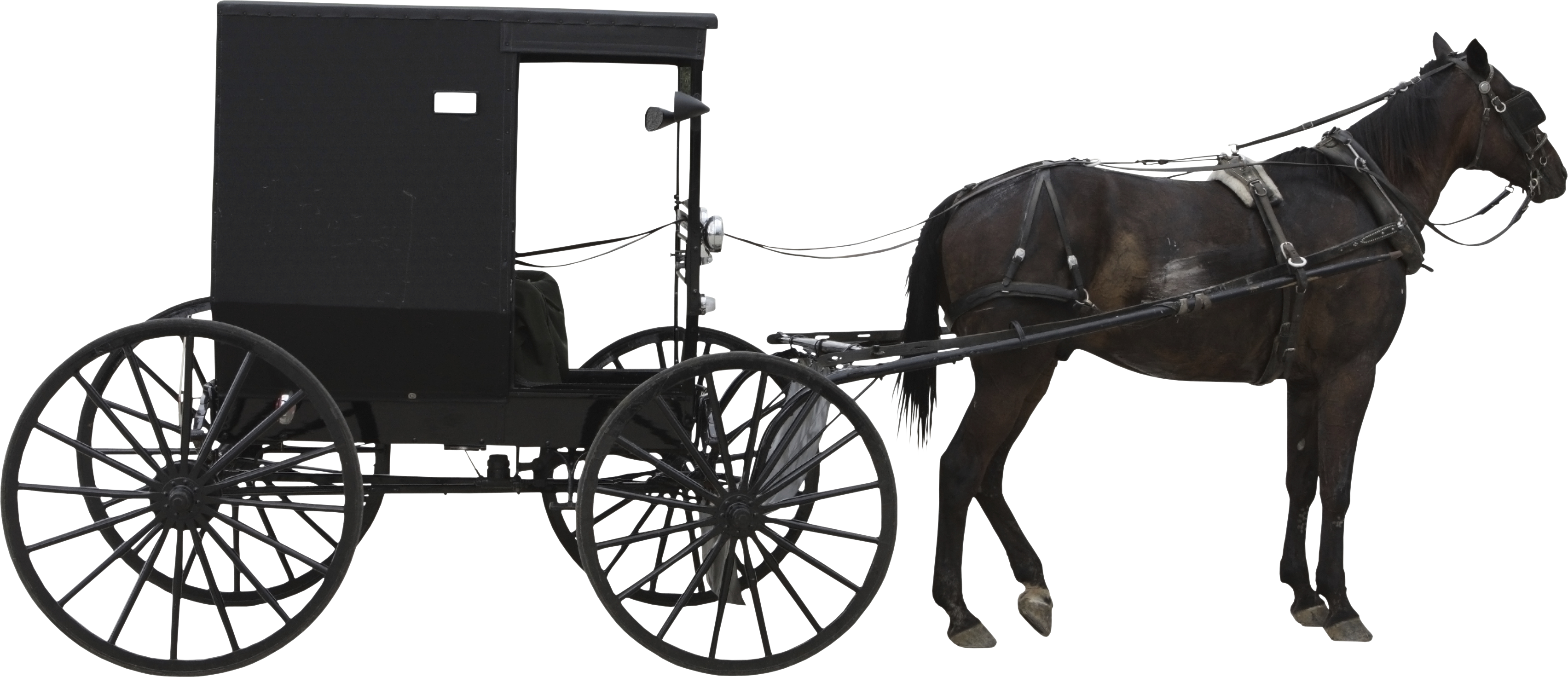 Horse And Cart - Horse And Cart Png (3407x1471), Png Download
